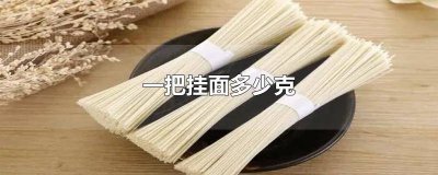 ​一小碗挂面多少克 1把挂面有多少千克