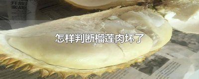​怎样判断榴莲肉坏了没 怎么看榴莲坏没坏怎么看榴莲肉坏没坏