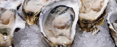 ​生蚝如何储存保鲜