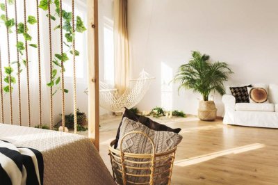 ​冬日里的喜悦花礼（二）