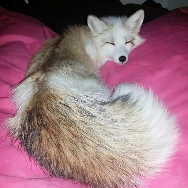 《变形记》到底毁了多少农村孩子！产出多少网红，论这畸形的节目