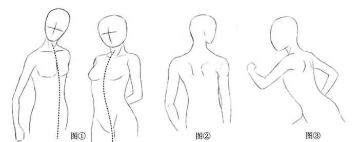 动漫躯干怎么画？动漫人物躯干绘制教程！