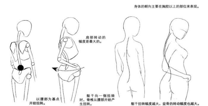 动漫躯干怎么画？动漫人物躯干绘制教程！