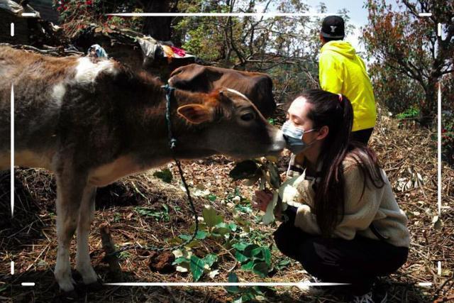 向佐郭碧婷同游尼泊尔，穿情侣装甜蜜牵手，是准备全世界撒狗粮？