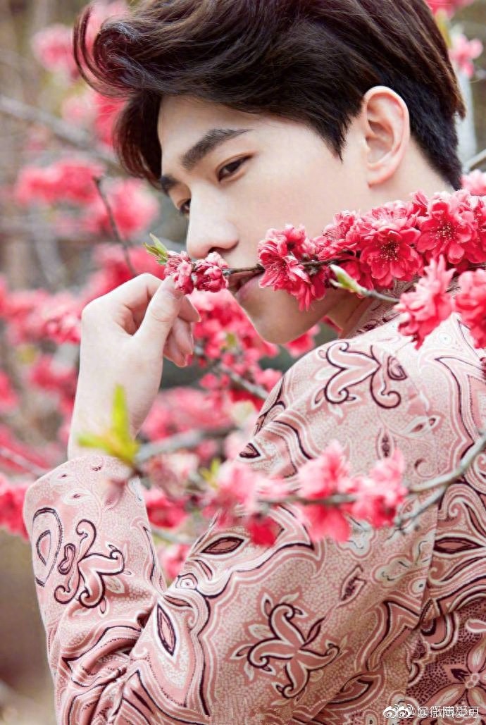 杨洋用颜值告诉你什么是“花儿与少年”颜值太高再次引粉丝尖叫