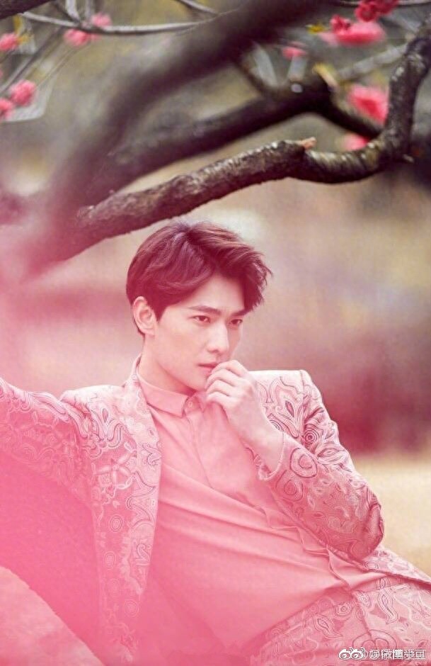 杨洋用颜值告诉你什么是“花儿与少年”颜值太高再次引粉丝尖叫