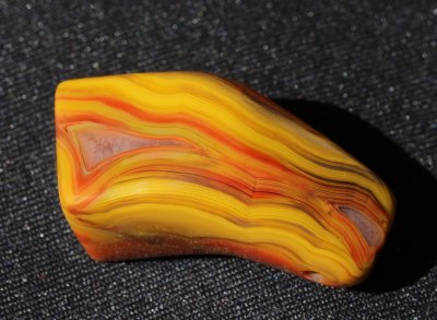 ​战国红价格揭密