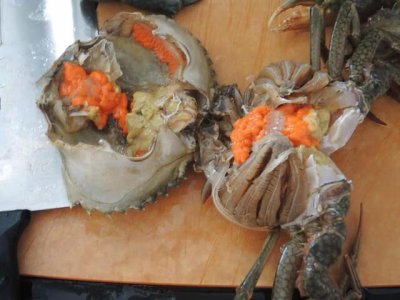 ​如何杀蟹清洗蟹（如何杀蟹和清洗)