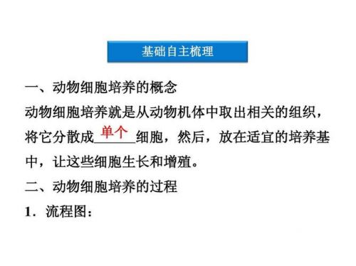 动物细胞培养原理(动物细胞培养过程)-第1张图片-