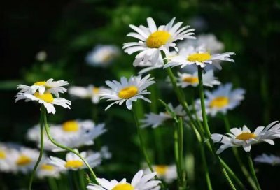 ​当男人突然不联系你，一般因为这4个原因，清楚地证明男人的心