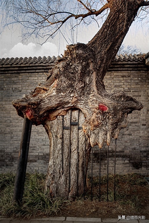 北京元大都遗址一瞥