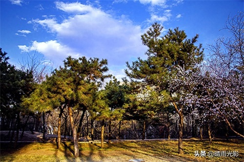 北京元大都遗址一瞥