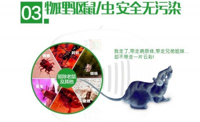 ​超声波驱鼠器真的有用吗？