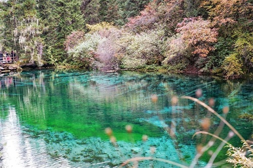 百花湖位于贵阳市西北郊22公里处，以风光、环境幽雅而著称