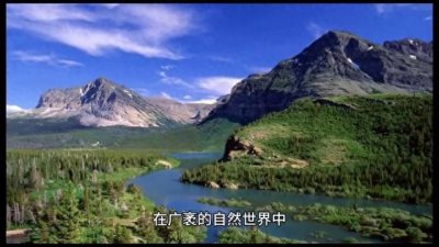 ​茼麻不简单：药用价值与食用禁忌大起底