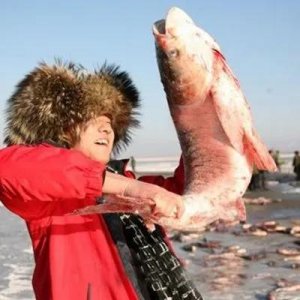 ​吉林省前郭尔罗斯蒙古族自治县内的查干湖一带特产鱼类