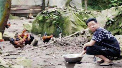 ​演员“三德子”养鸡14年，带领288户村民致富，其中138户是残疾人