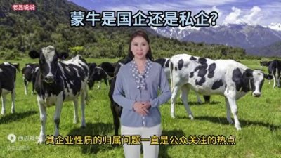 蒙牛是国企还是私企？