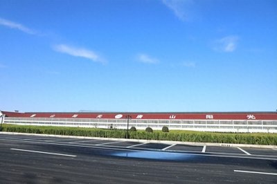 ​唐山阳光国际赛鸽公棚(小棚)—河北黄金赛线，赛鸽同场竞技的首选