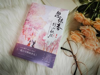 ​一篇古早狗血虐文