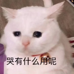 ​猫咪肾衰了能治好吗？还能活多久？