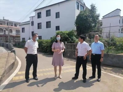 ​万晓娟深入流湖镇开展工作调研