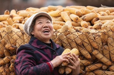 带“丰”字的成语。与“丰”有关的四字成语都在这里，值得收藏