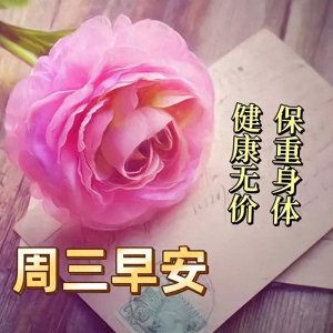 ​非常好看的早安祝福图片，最新早晨隔屏问候图片，清晨醒来问声好