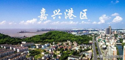 ​上海南的魔幻小镇乍浦，是养老福地还是“韭菜地”(上)