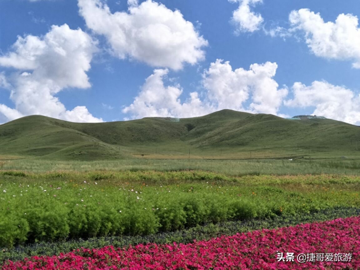 河北省 承德市 丰宁满族自治县 丰宁坝上草原