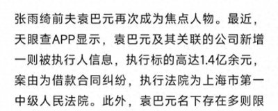 ​袁巴元否认张雨绮出轨，回忆结婚2年过往：没过几天安心日子