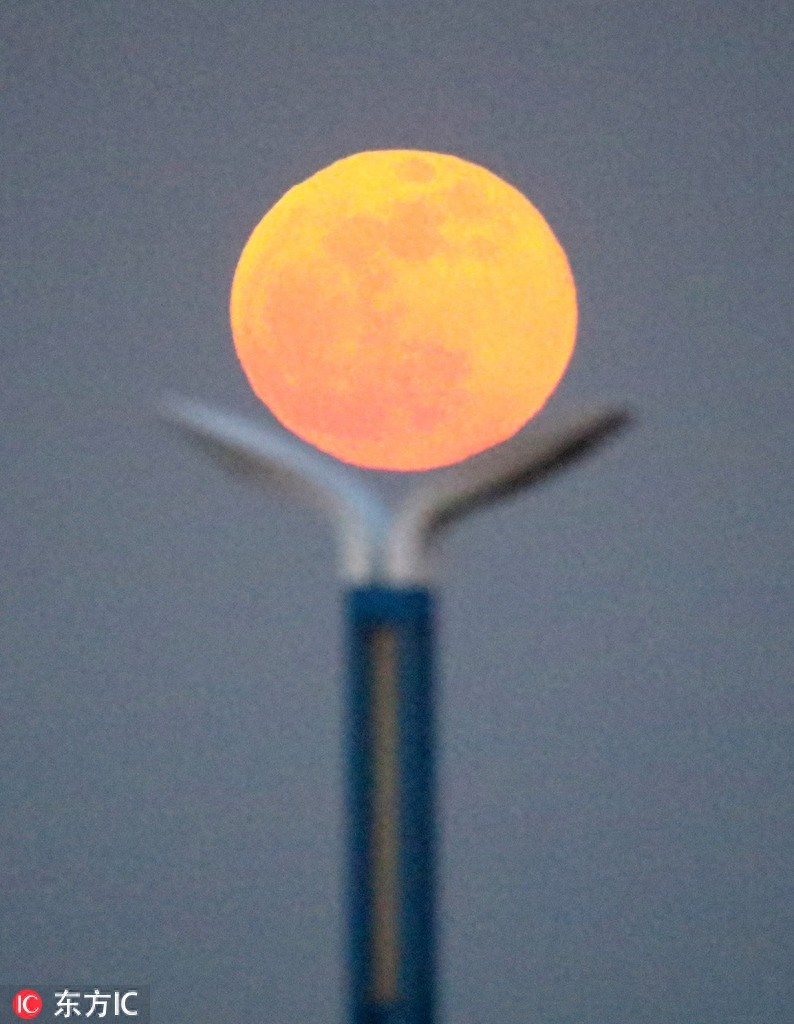 你看这个月亮它又大又圆，2019首轮“超级月亮”昨晚现身，美skr人