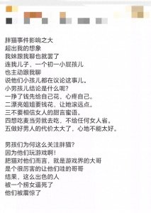 ​胖猫事件至今，成了一摊不堪的闹剧