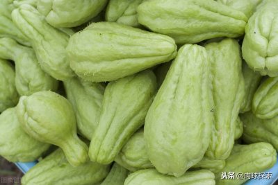 ​瓜的种类实在是太多了，你认识多少种呢？