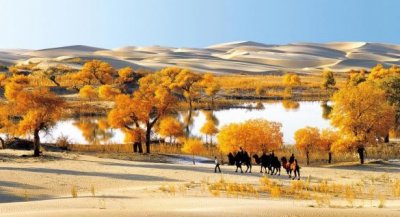 ​对口帮扶｜走近新疆尉犁（一）