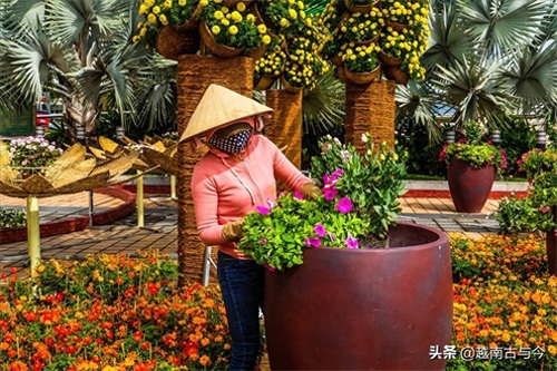 越南岘港农历春节花街再现网红景点“金桥佛手”形象，喜迎金猪年