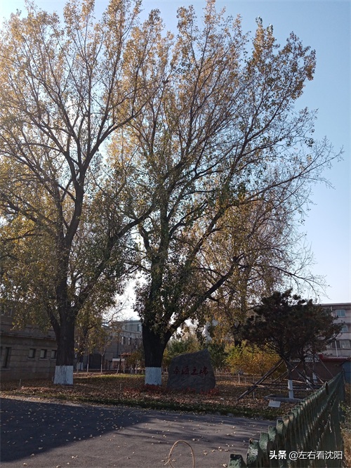 左右看沈阳 之沈阳东站图片赏析