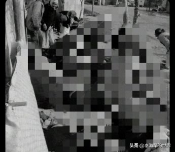 ​放下了武器就注定会有今天的灾难！说他们自找的也不为过