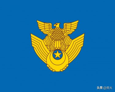 ​东亚国家：日本航空自卫队战斗机