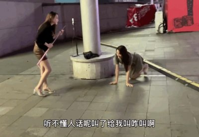 ​不堪入目！网红一条街，漂亮妹子学狗叫，美女上树