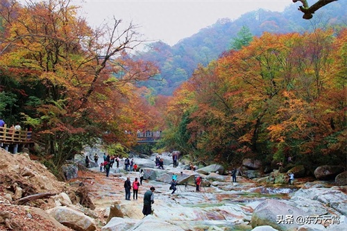 四川巴中南江光雾山大坝景区彩林五彩缤纷美不胜收摄影者的天堂