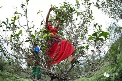 ​在生活中的云南少数民族妇女，是怎么样的？