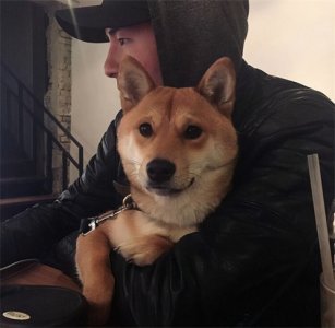 ​这些行为，能判断你是不是＂狗奴＂