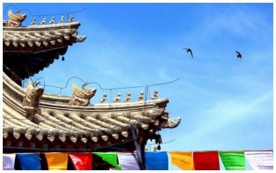 ​锡林郭勒草原上的百年古刹！