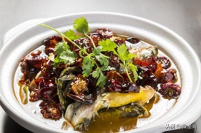 ​垂钓黄辣丁，为何“打窝”很重要？分享几个垂钓黄辣丁的技巧