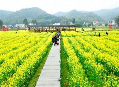 ​花都区农业大有可为！3个农产品荣登全国名特优新农产品榜单！