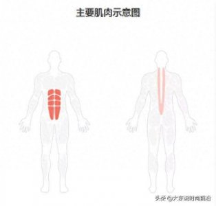 ​平板支撑标准姿势