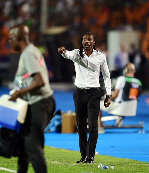 足球——非洲杯：阿尔及利亚夺冠