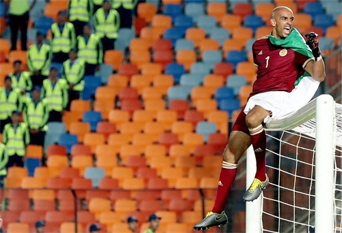 足球——非洲杯：阿尔及利亚夺冠