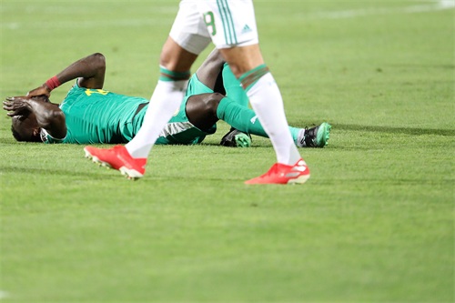 足球——非洲杯：阿尔及利亚夺冠